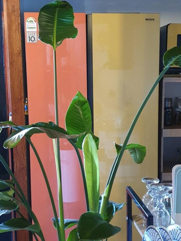 foto20