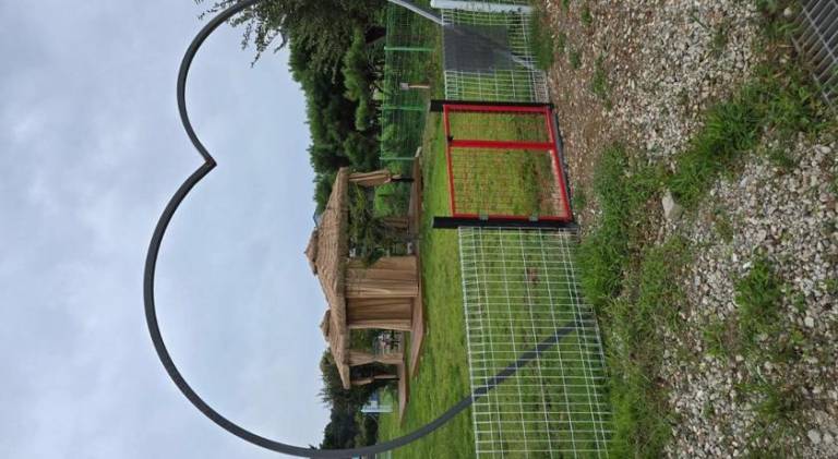 foto16