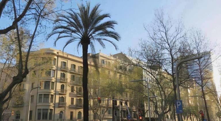 Hostal Petit Princep — photo 4
