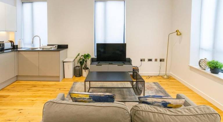 Beautiful rental apartment | Pets are welcome in Birmingham