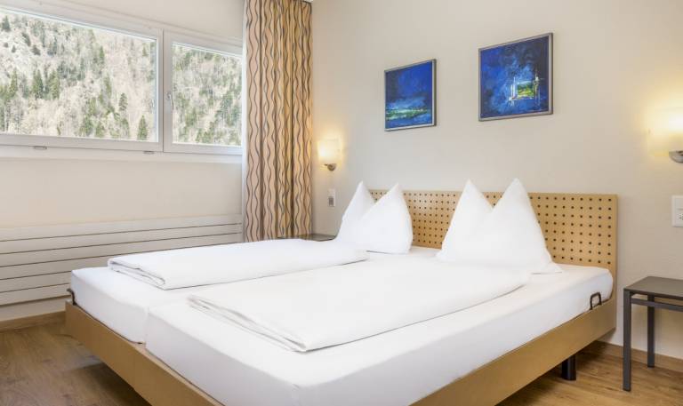 Ferienwohnung mit Hund in Interlaken, Goldswil für max. 4 Personen Ferienwohnung mit Hund in Interlaken, Goldswil für max. 4 Personen