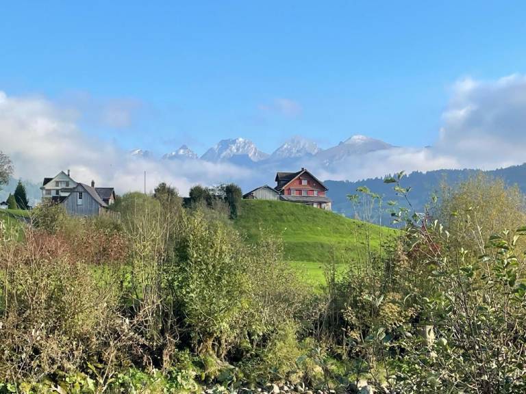 foto36
