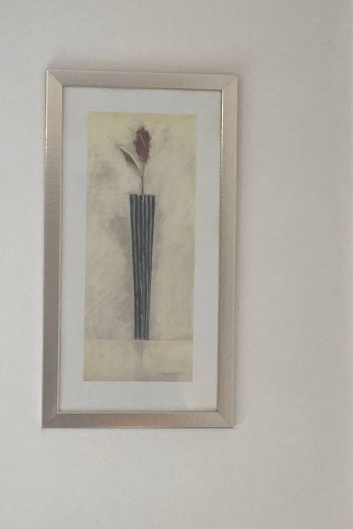 foto18