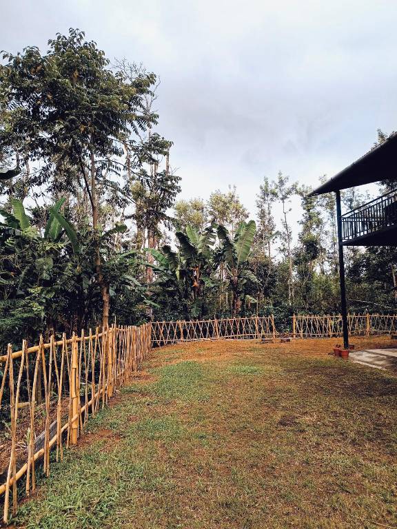 Cozy Camp Homestay — photo 5