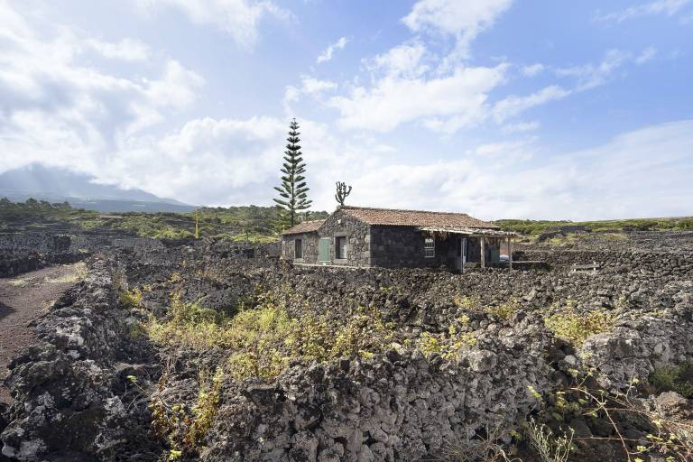 Casa Bandeiras