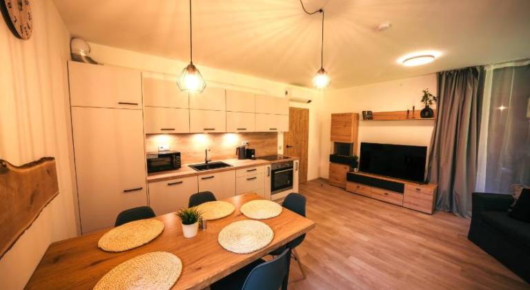 Nice rental apartment with hot tub | Next to the ski | Pets are welcome — photo 3