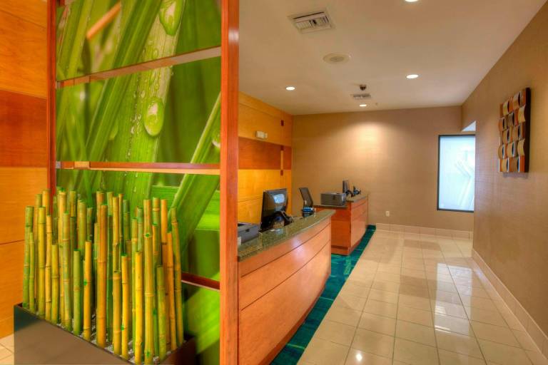 SpringHill Suites by Marriott Tampa Brandon — photo 4
