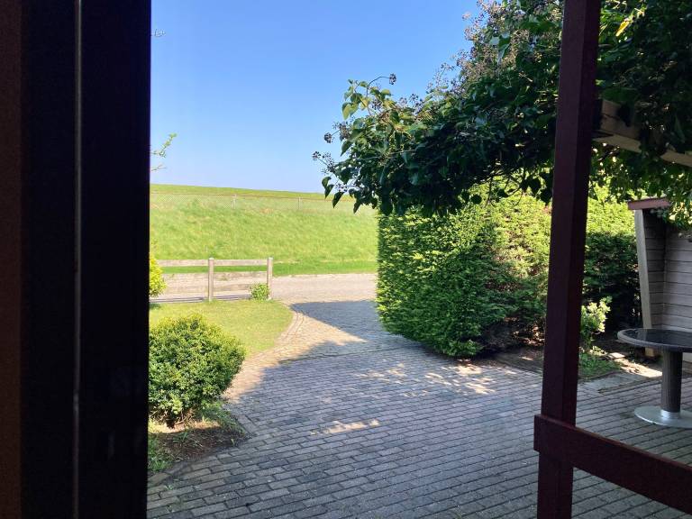 foto11