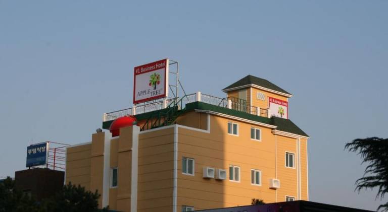 foto12