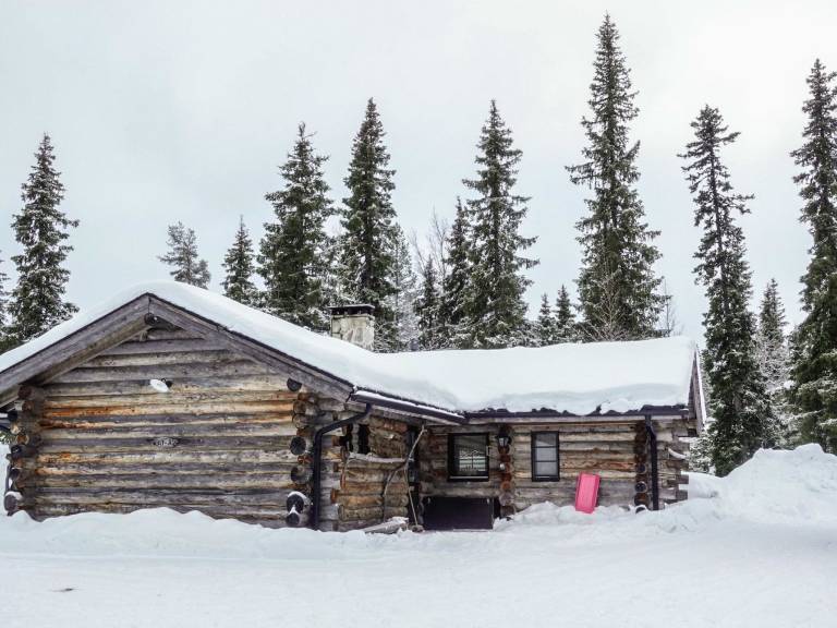 Vacation home with sauna — photo 5