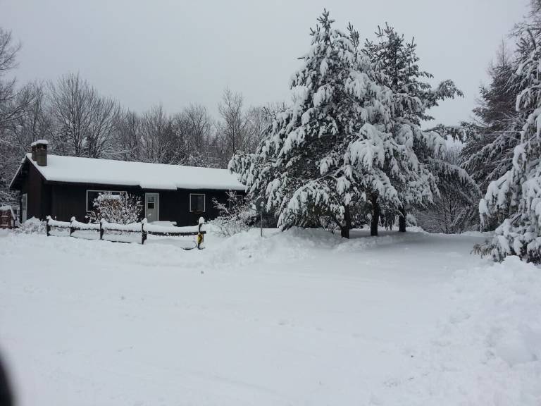 Cabin  Blue Mountain Lake