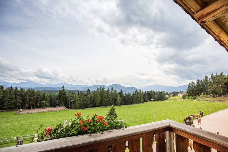 Apartment 'Malouka' with Mountain View, Shared Terrace and Wi-Fi in Renon