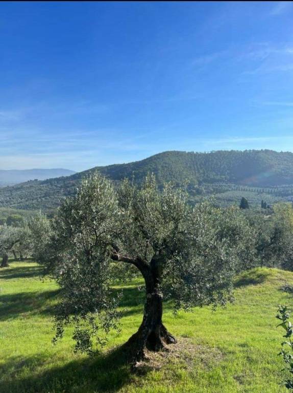 foto42