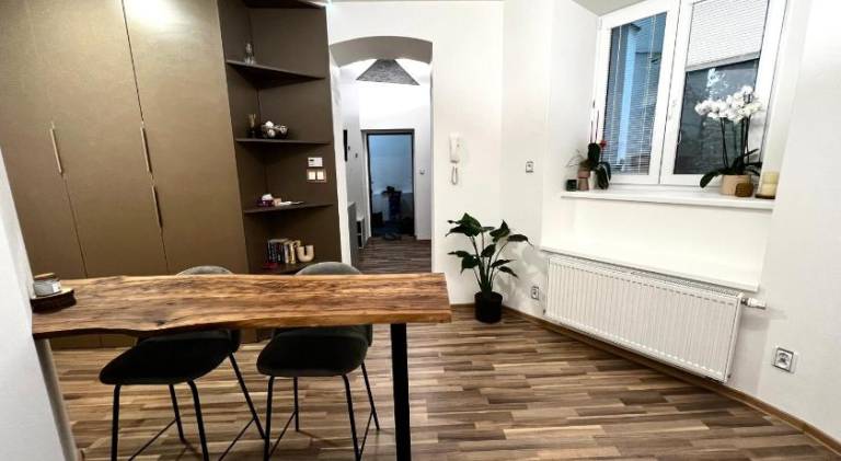 Apartment | Near Holy Trinity Column — photo 4