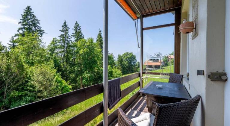 Balcony and Terrace with View and 15min to Interlaken in Unterseen