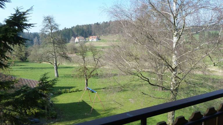 foto14