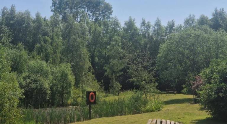 foto12