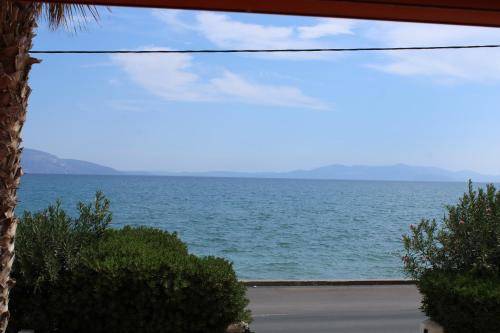 Διαμέρισμα Συκάμινο