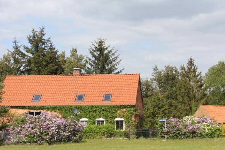 Ferienhaus  Hitzacker (Elbe)