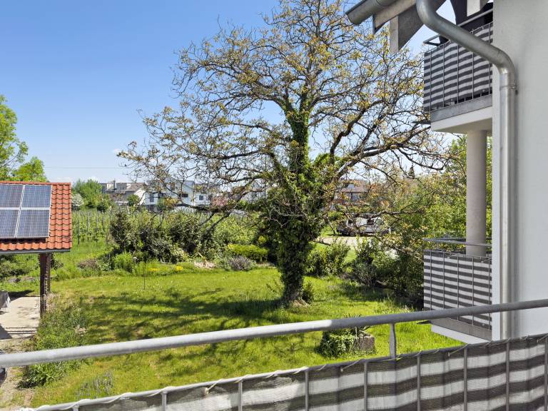 Holiday apartment with 1 room for 3 persons — photo 3
