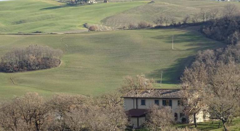 Farm with 1 room for 4 persons in Castiglione d'Orcia