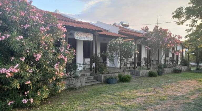 Διαμέρισμα  Paleopoli