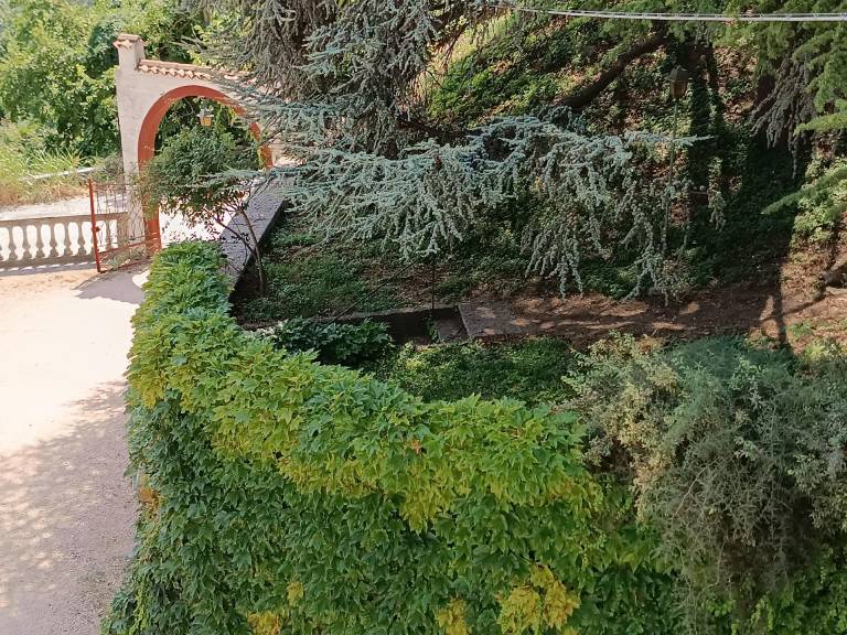 foto26