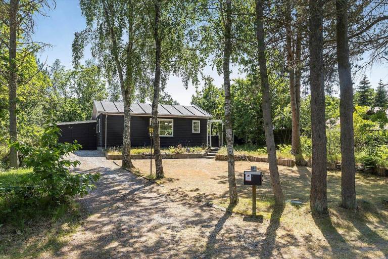Ferienhaus mit Hund inFjellerup Strand  f&uuml;r max. 6 Personen