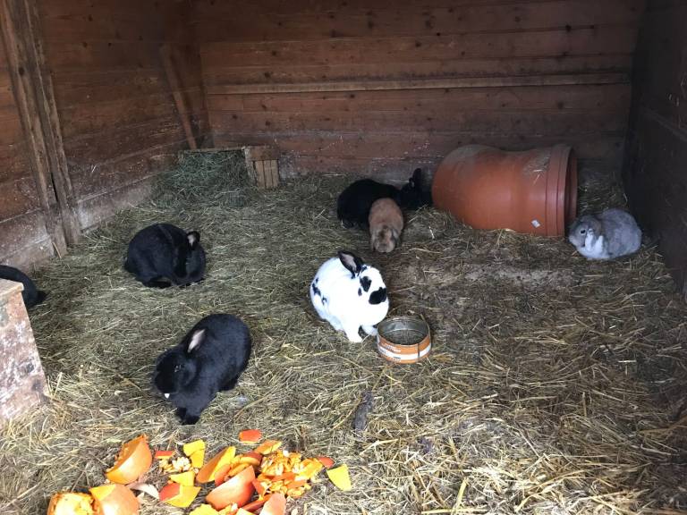 foto14