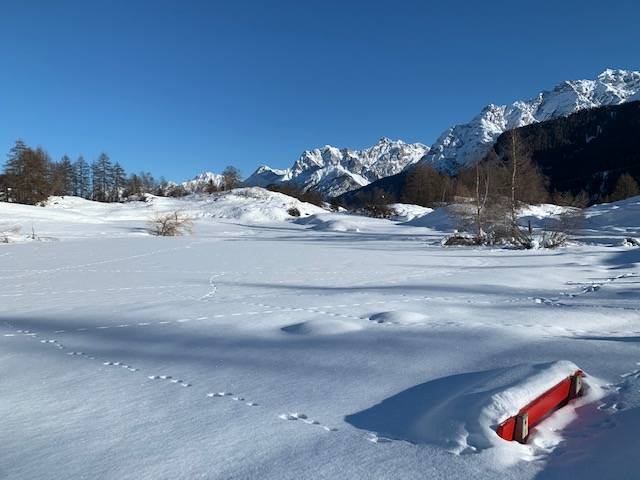 foto9