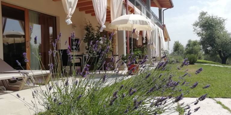 Casale Picedo