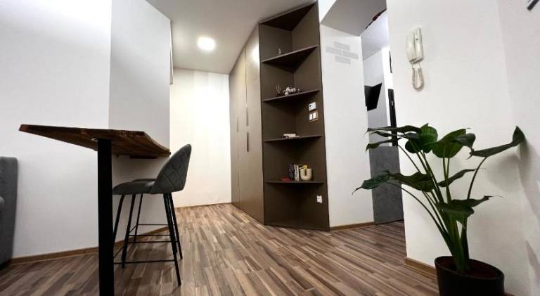 Apartment | Near Holy Trinity Column — photo 3