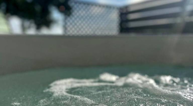 foto41