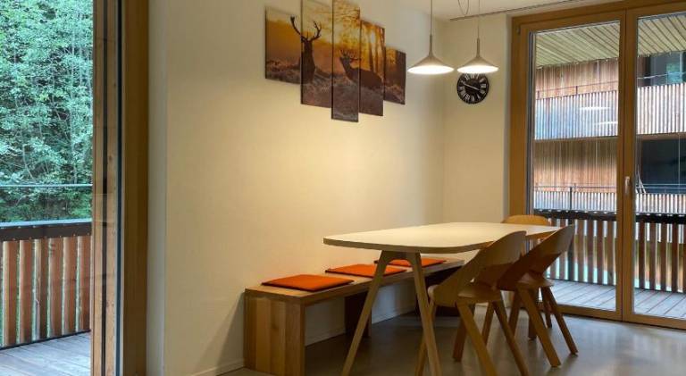 Ferienwohnung 3,5 Zimmer direkt an Ski- und Bikepiste — photo 5