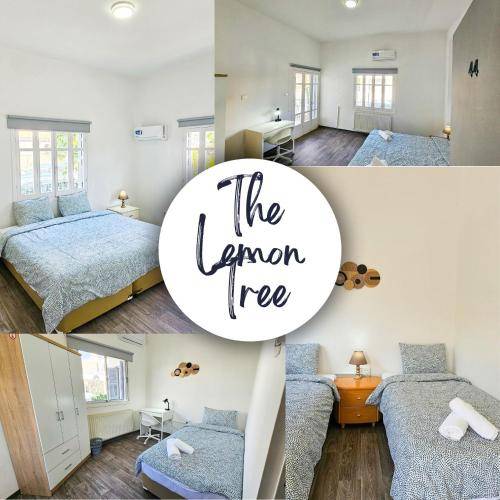 Hostel  Larnaca