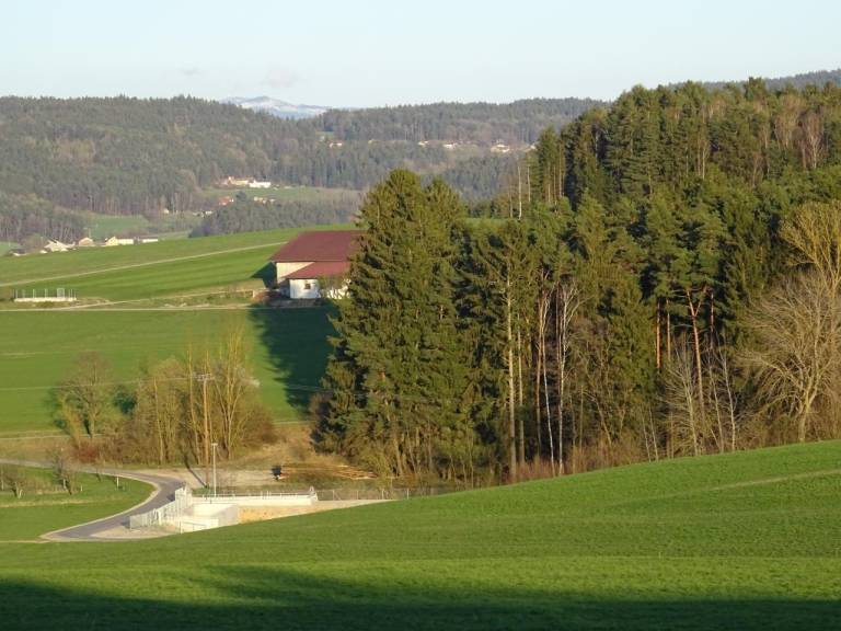 foto23