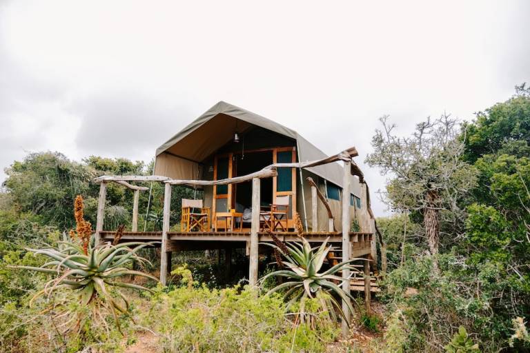 Tent  Grahamstown