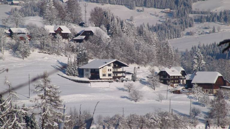 Ferienwohnung Afritz am See