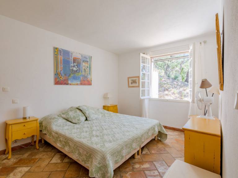 foto11