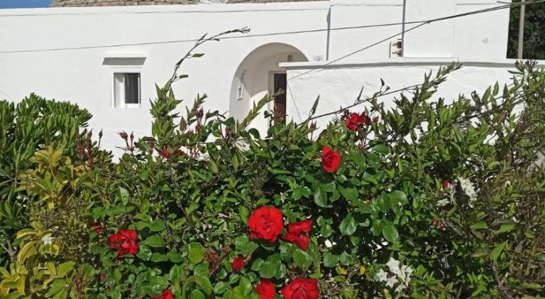 Vacation home | Dogs allowed in Cisternino