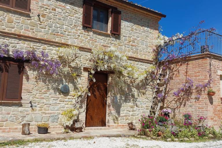Agriturismo  Sant'Angelo in Pontano