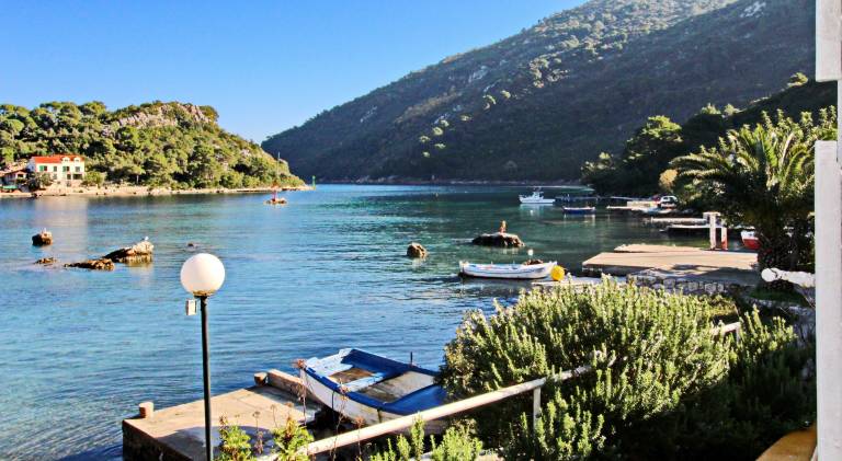 Apartman Prožurska Luka