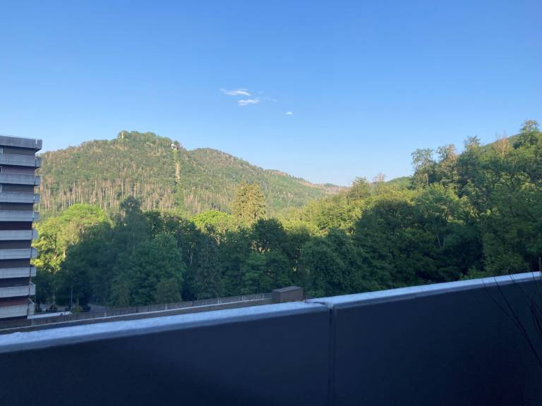 Gemütliche Ferienwohnung in Bad Harzburg mit Möbliertem Balkon