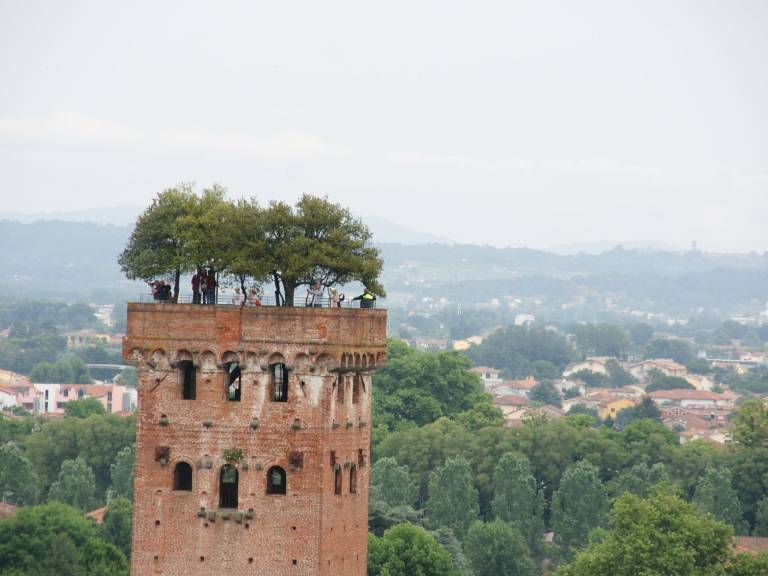 Villa  Lucca