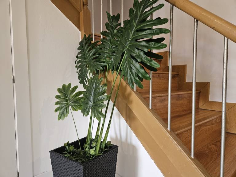 foto28