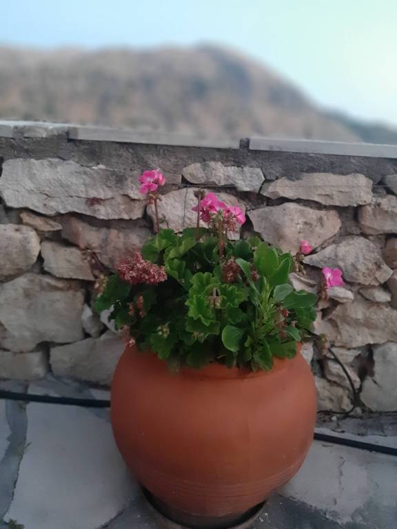 foto38