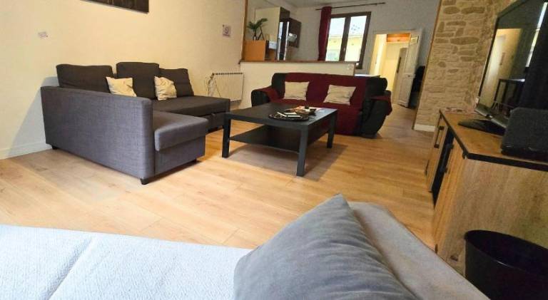 Pleasant apartment | Pets allowed in Tours