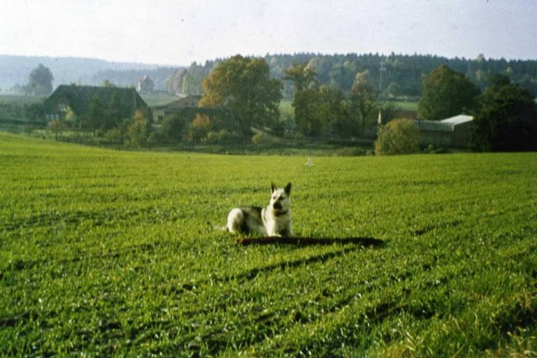 foto19