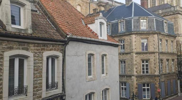 La chambre de pousse — photo 5