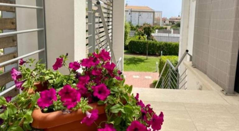 Apartment | Next to the beach | Pets allowed — photo 5